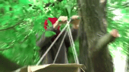 giphy[1]
