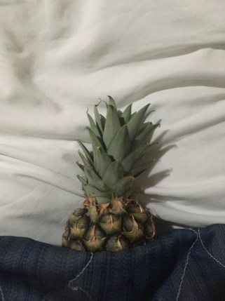 Pineapple Sleepy